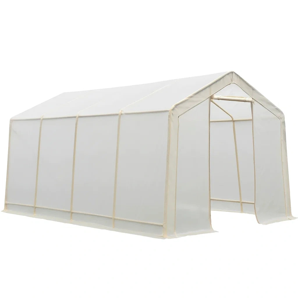 Serre tunnel en acier et PE blanc 600x300x200 cm(Blanc)